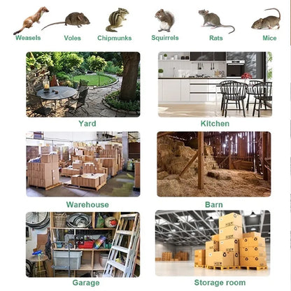 Stainless Steel Automatic Mousetrap